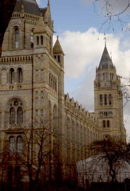 West side of Museum of Natural History