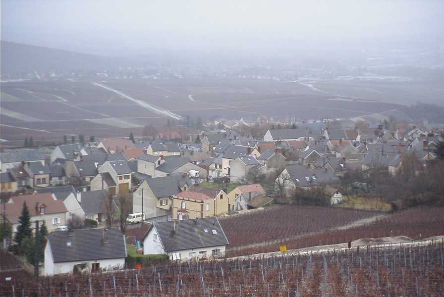 village with vineyard